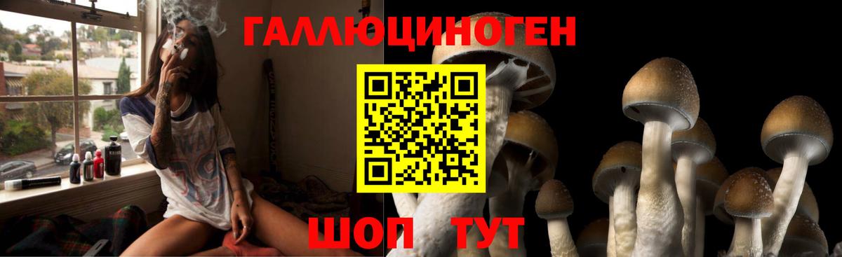 Галлюциногенные грибы Magic Shrooms  Псилоцибиновые грибы мухоморы  Вход с VPN  Удомля 
